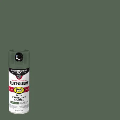 12 OZ Earth Spray Paint